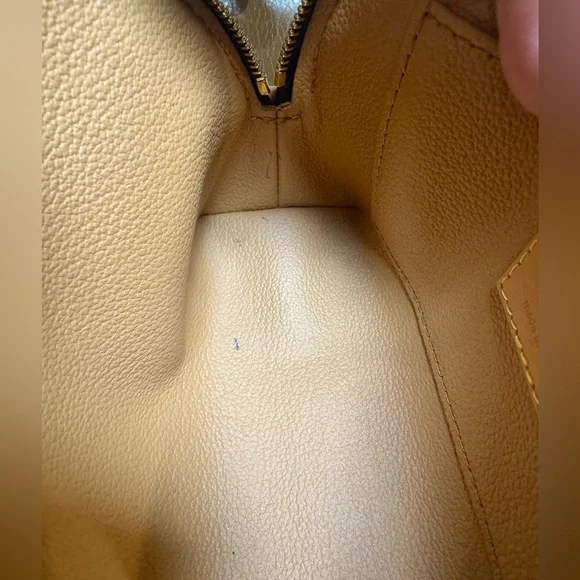 Sold x Louis Vuitton Limited edition Jacquard Since 1854 Cosmetic Pouch - Picture 10 of 12